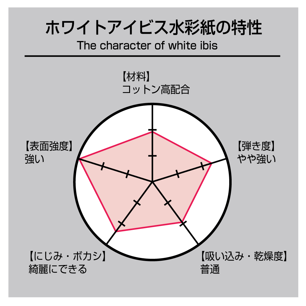 ホルベイン 水彩色紙 ホワイトアイビス(スタンド付) 1/4色紙(寸松庵)